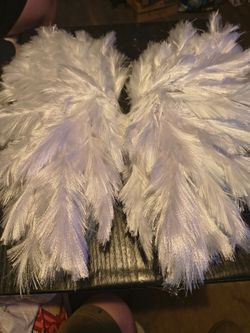 Angel wings