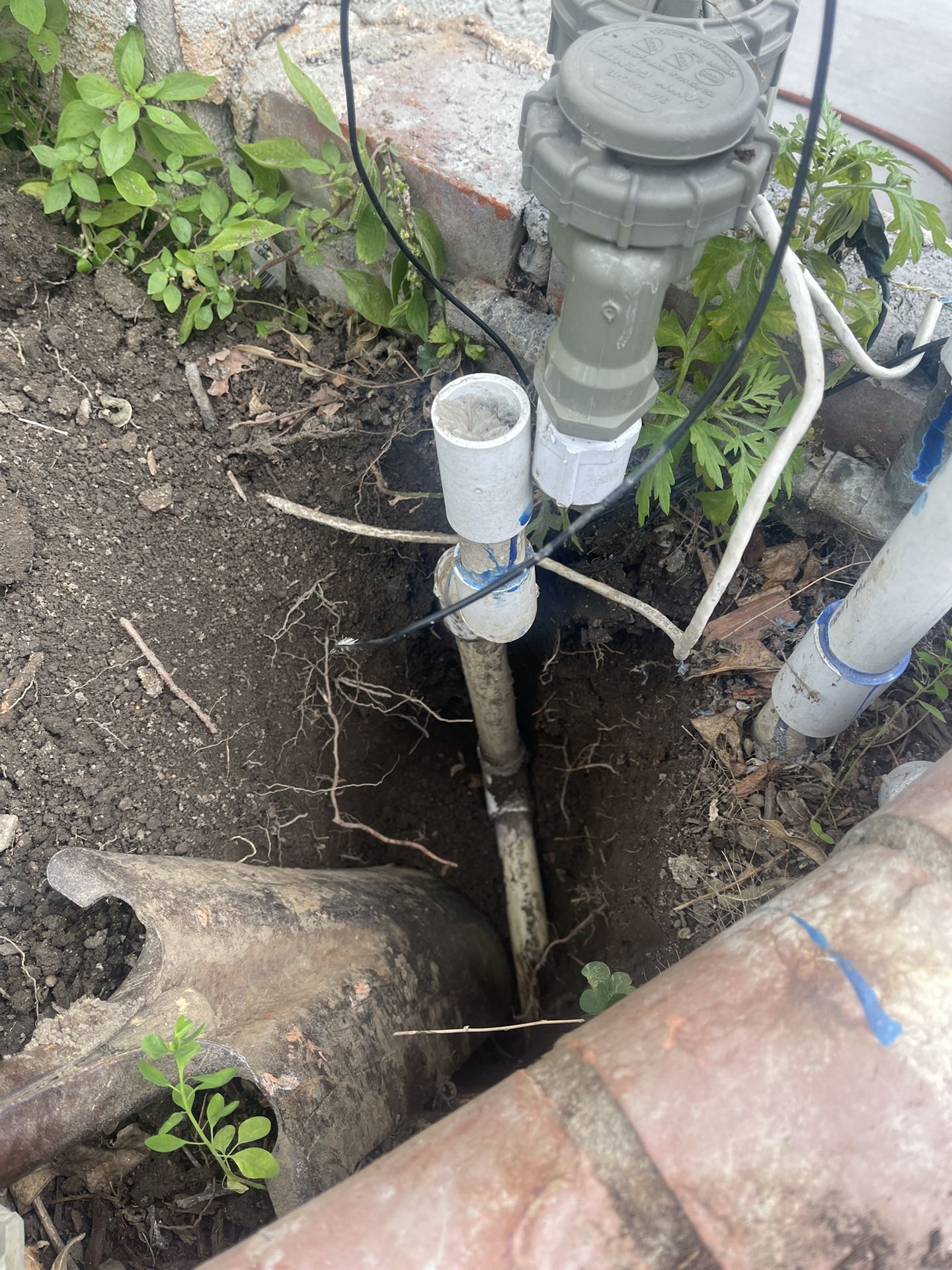 Sprinkler Valve