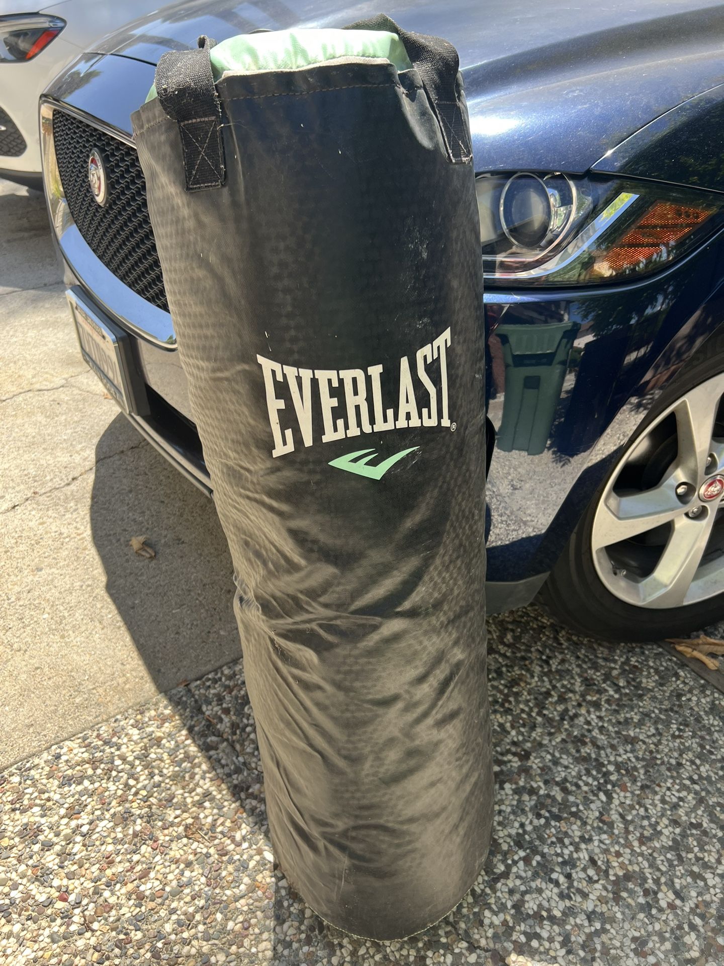 Everlast 50 Lbs
