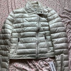 Winter Jacket 