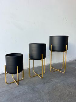 Modern Planter Pots with Gold Stand