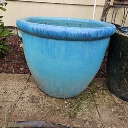Big Flower Pot 