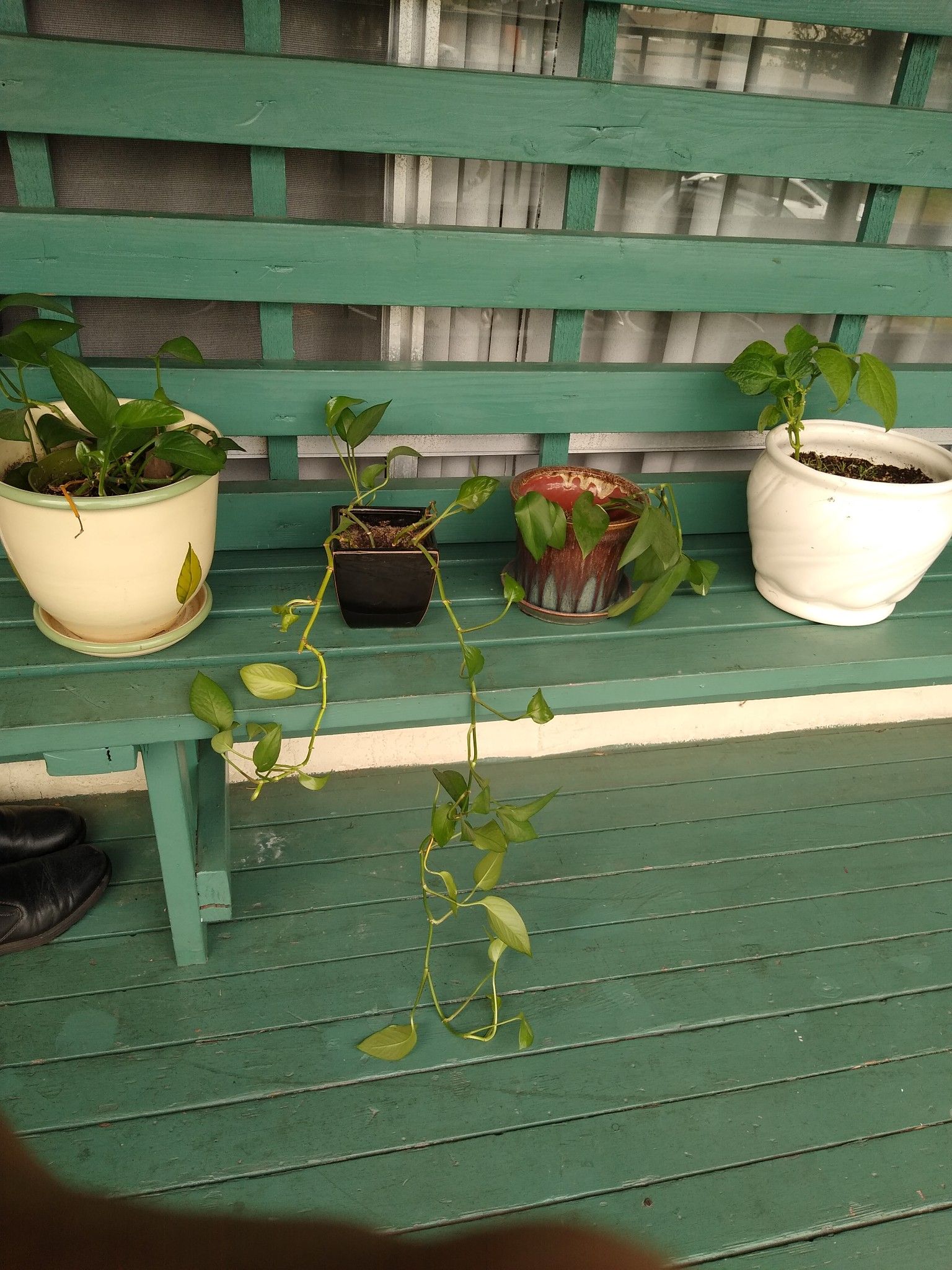 Planters
