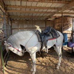 Español Pido 10,000 O Mejor Oferta O Cambio Por Otro 