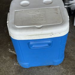 Igloo Cooler 
