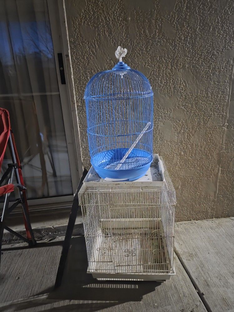 Bird Cages