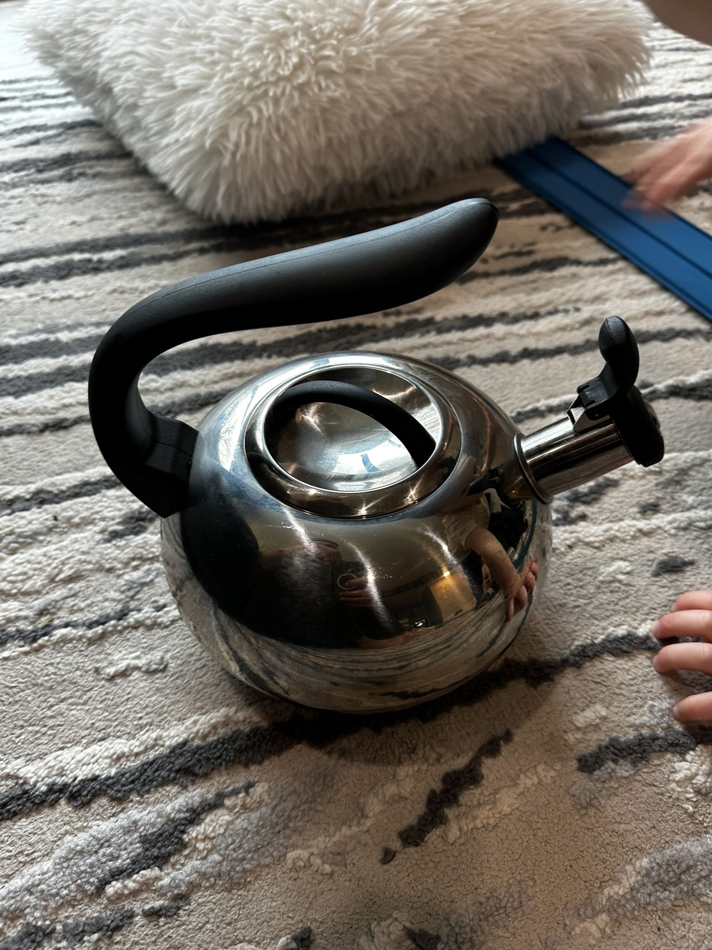 Stainless Steel Kettle