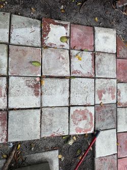 Pavers - Must Remove