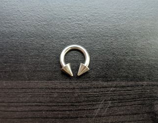 Stainless Steel Circular Horseshoe Barbell w/ Pointed Studs