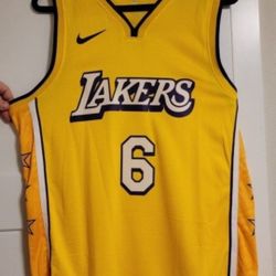 L/XL LeGoat #6 Custom Lakers Jersey 2020 City Edition