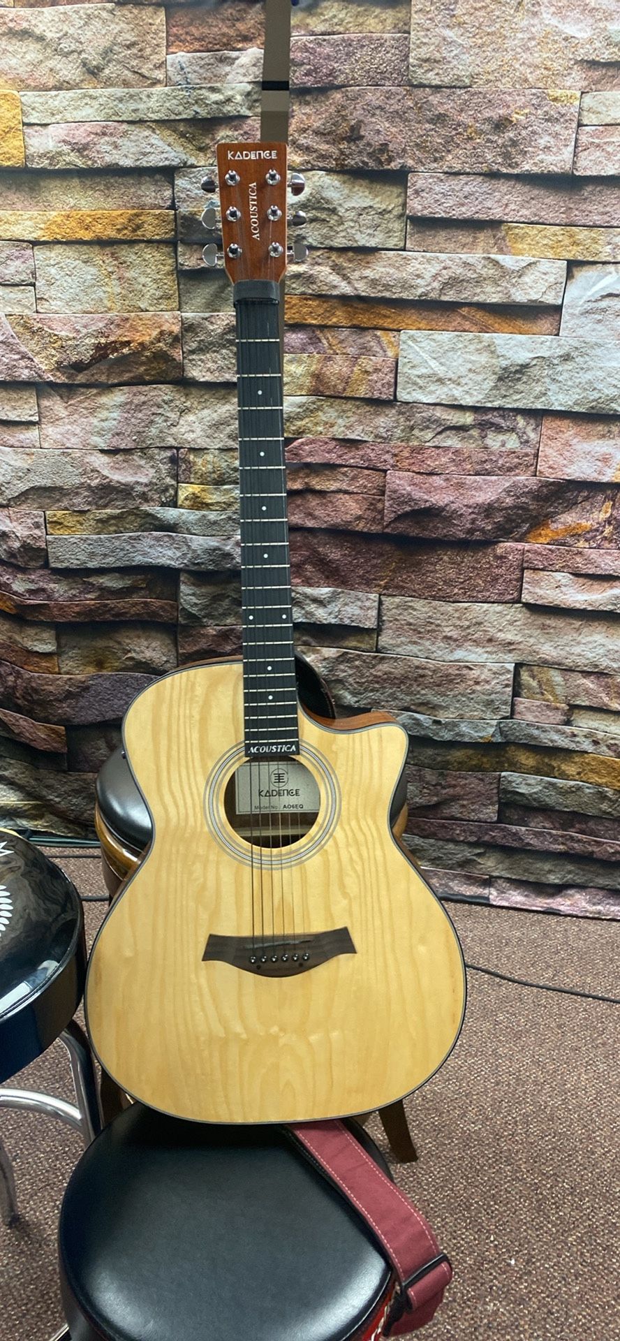 Electric Acoustic Guitar