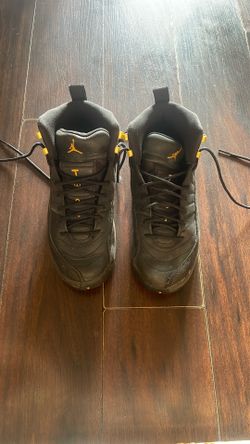 Jordan 12