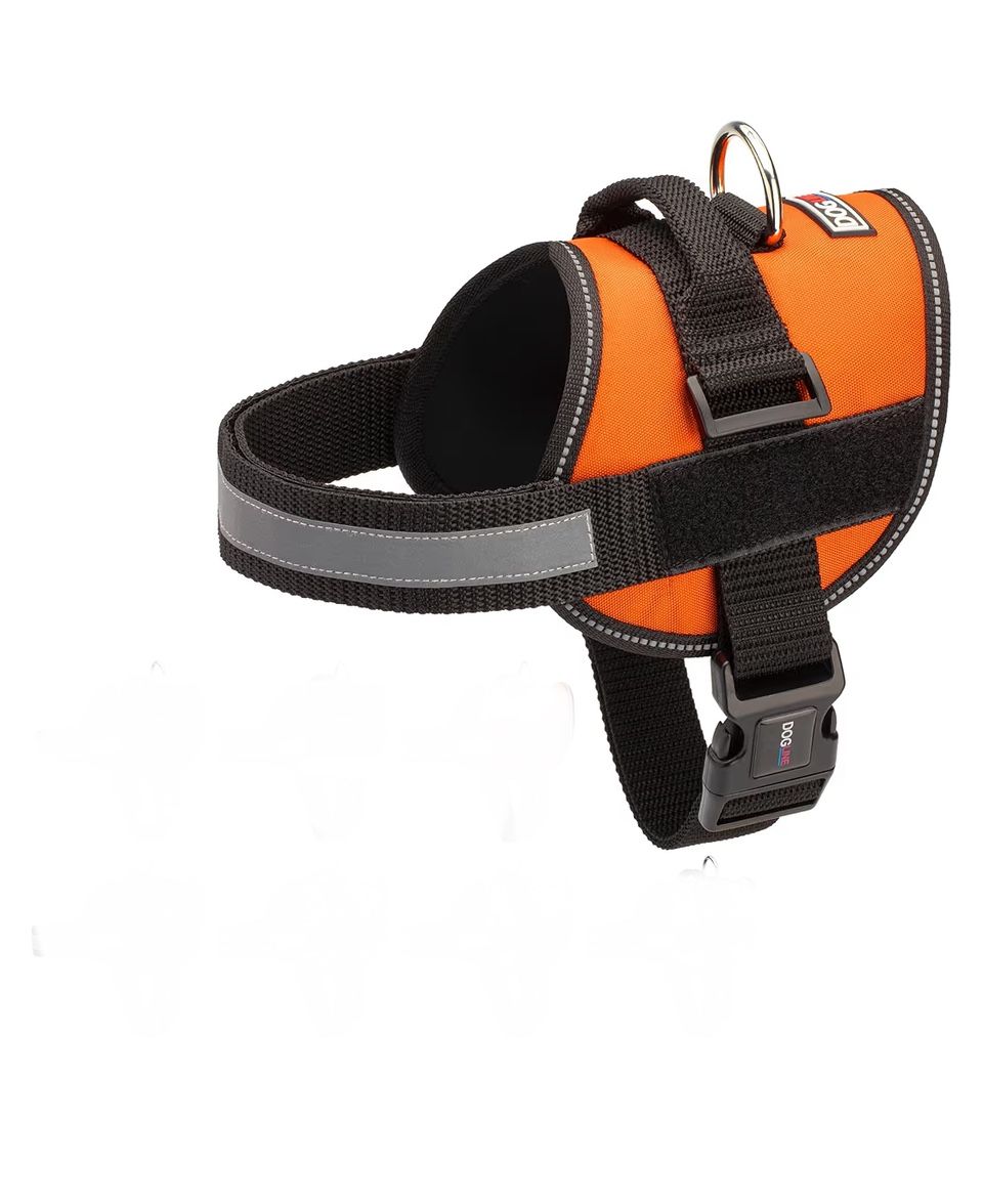 Dog Harness, Orange, Medium