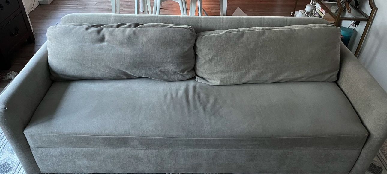 FREE - Clara futon For Sale - West Elm