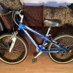 24” Mountain Lespo Stinger Aluminum Bike For Womens 7 Speeds Excellent Condition $135