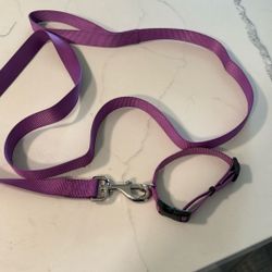 Dog Leash And Collar