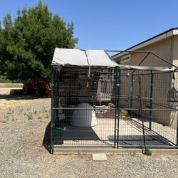Dog Kennel 10x10