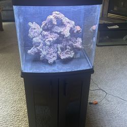 32 Gallon Saltwater Biocube Aquarium 