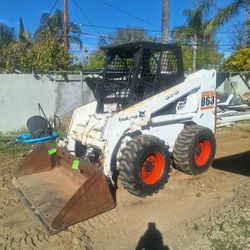 Bobcat 