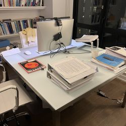 Room and Board Frosted Glass Table 