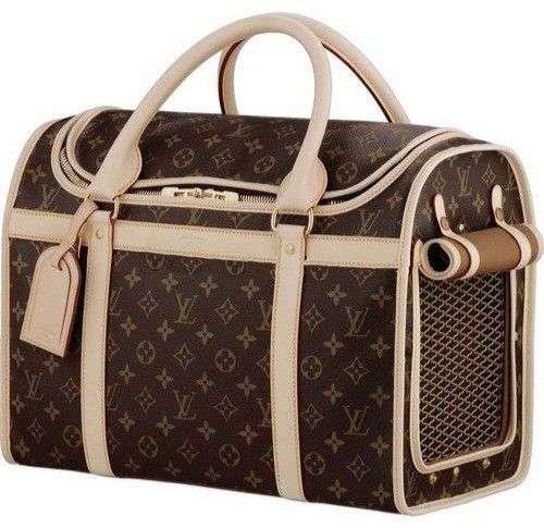 New DOG CARRIER 🐕