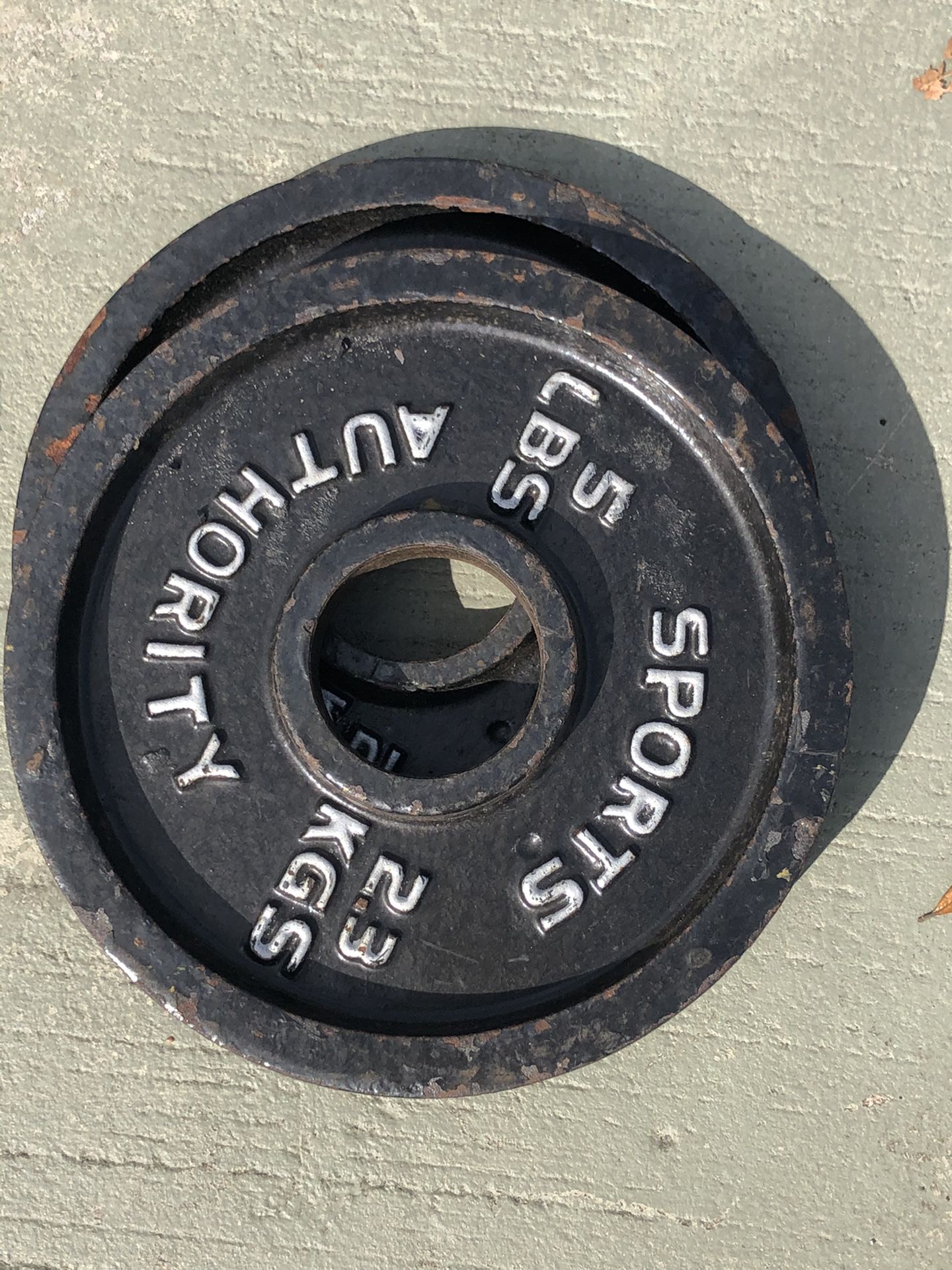 pair of 5lbs Olympic weight plates