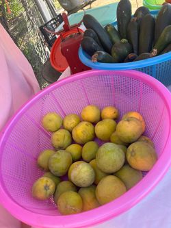 Tengo zapotes blancos a la venta.  $2 la libra