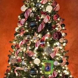 7 Ft, 7 Pies Con Luces