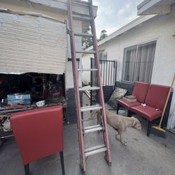 Louisville Extended Ladder