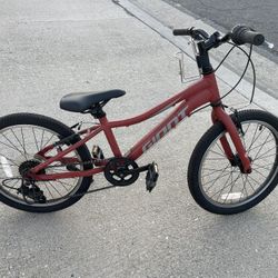Giant Young Adult Bike