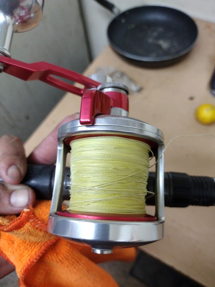 Fishing Pole With Reel