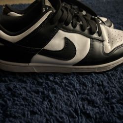 used nike dunks