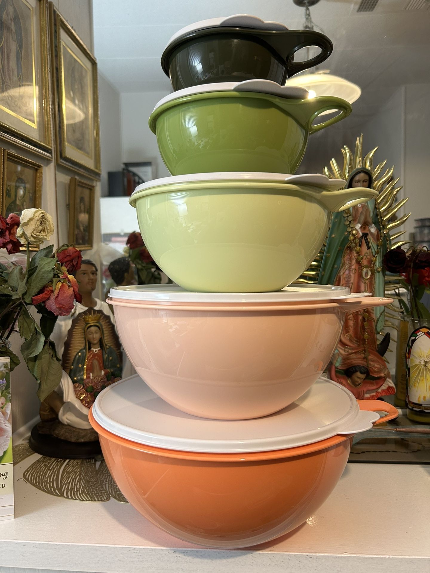 Thatsa 5 Bowls Diferentes Sizes Tupperware Pet supplies