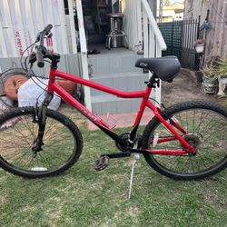 Giant Boulder Mountain Bicycle