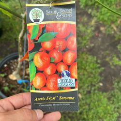 Plant Sale