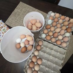 Fresh Farms Eggs 