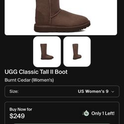 Brand New Tall Brown Uggs 