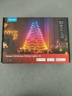 Govee Christmas String Lights 2s