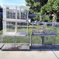 Bird Cages 