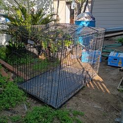 Large Cage