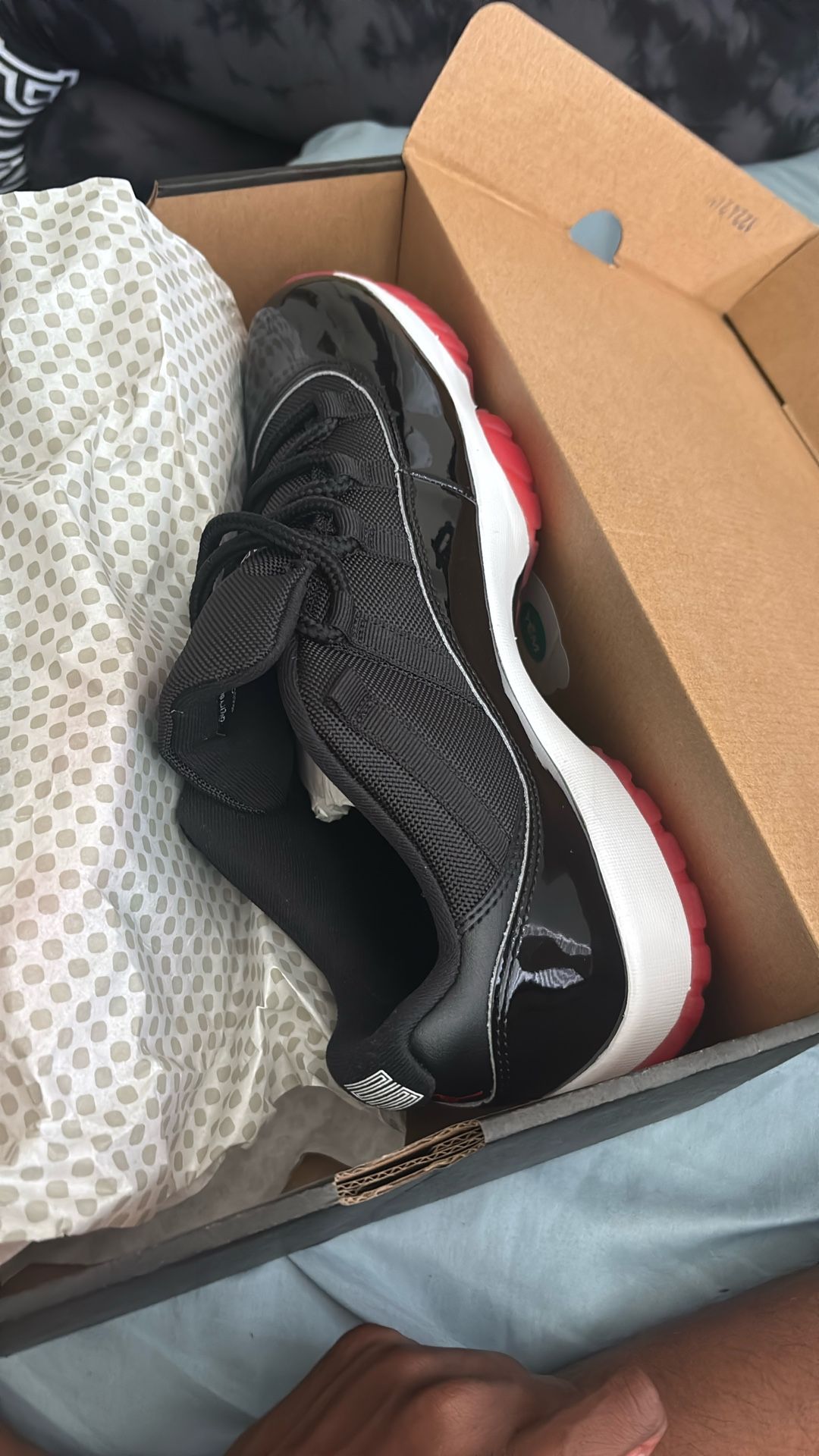 Size 11 Jordan Retros 11s Black Varsity