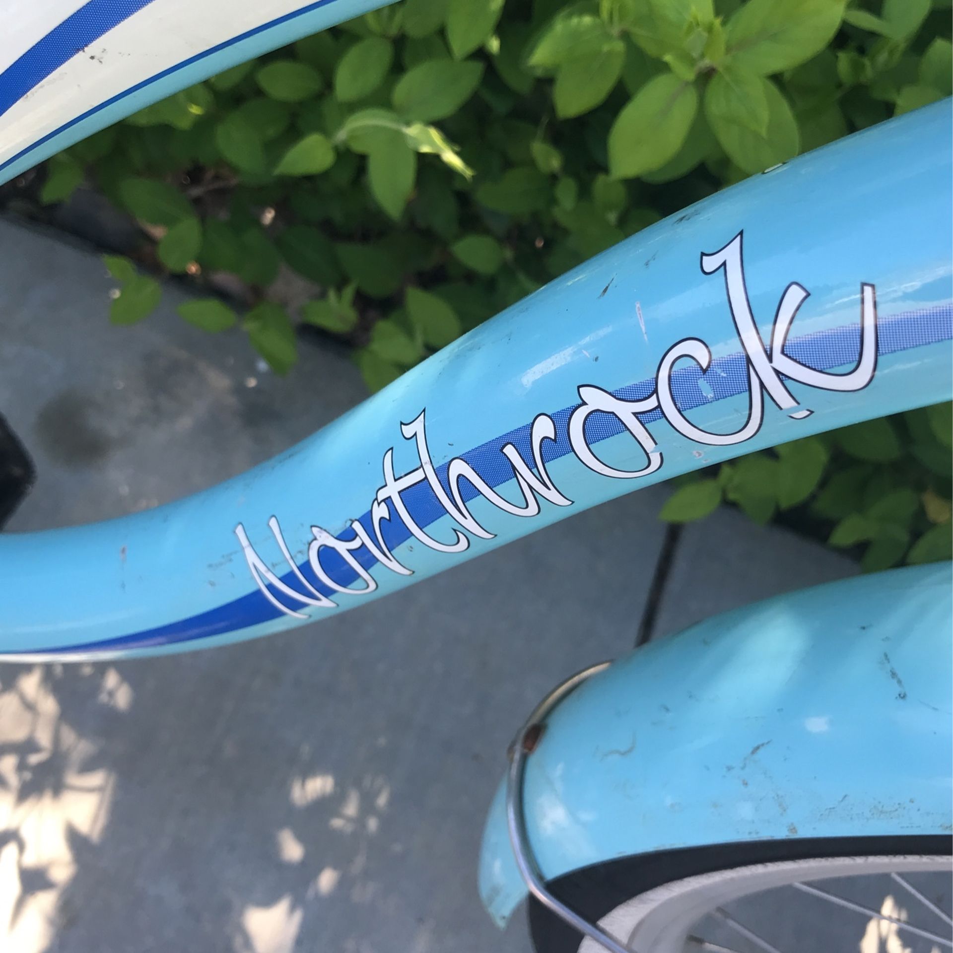 Northrock oc beach cruiser new arrivals