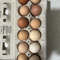 Organic Fresh Eggs