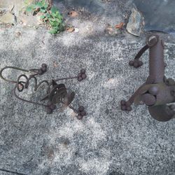 Ornamental Dog And Cat