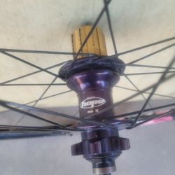 Hope Pro 2 Rear Bike Hub With 29er Hoop