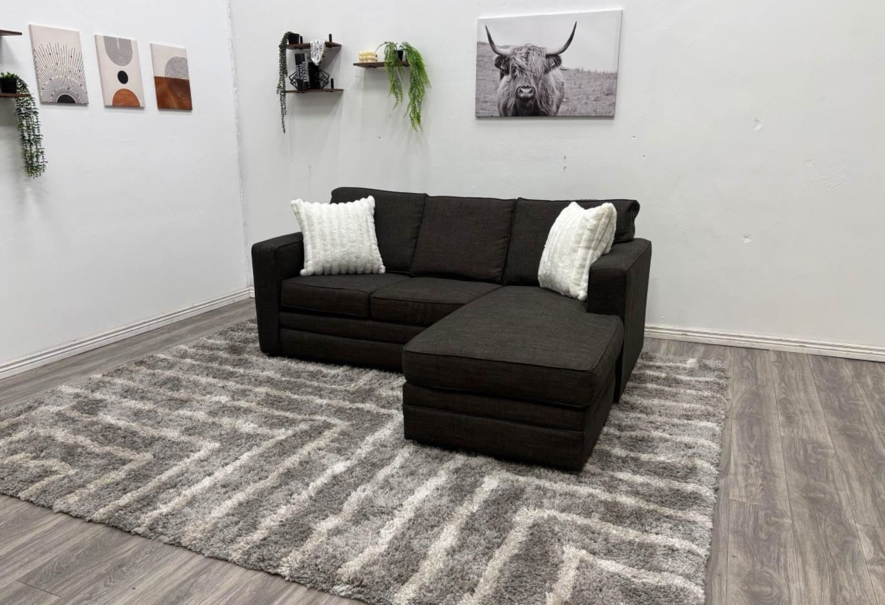 Sectional Pull Out Bed Couch