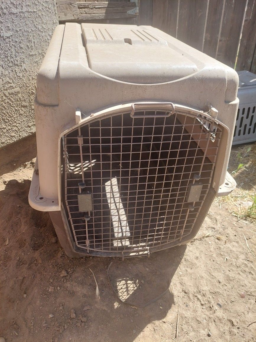 Dog Kennel