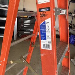 Werner 6 Ft. Fiberglass Step Ladder (10 Ft. Reach Height) 