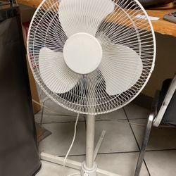 Fans