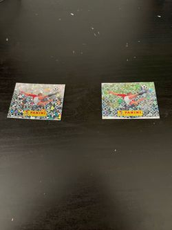 Panini sticker